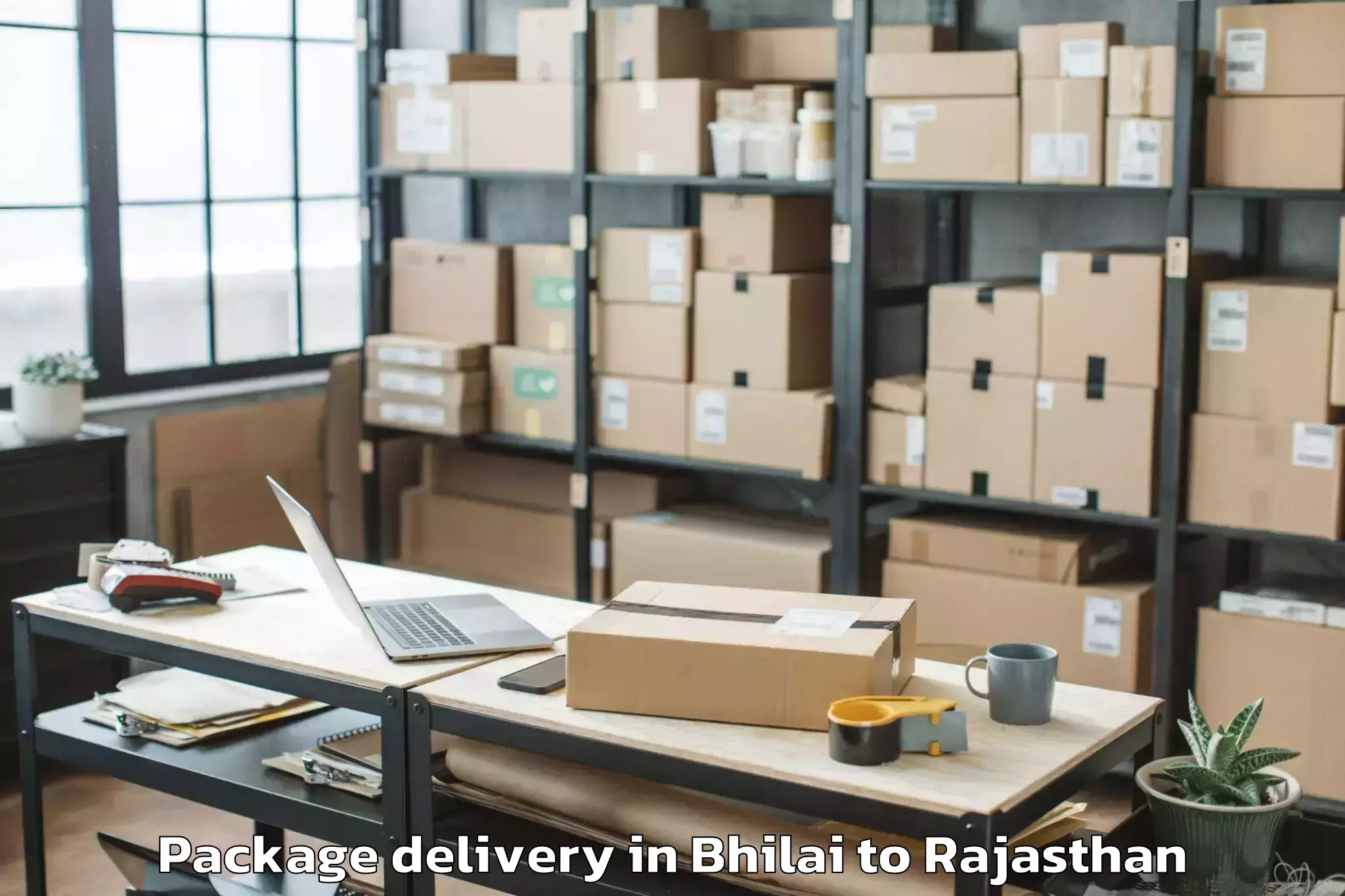 Easy Bhilai to Abu Road Package Delivery Booking